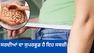 ਇਸ ਵਿਟਾਮਿਨ-ਫਾਈਬਰ ਨਾਲ ਭਰਪੂਰ ਸਬਜ਼ੀ ਨੂੰ ਸਰਦੀਆਂ ਦੌਰਾਨ ਖਾਓ, ਮਿਲਣਗੇ ਫਾਇਦੇ ਇਸ ਵਿਟਾਮਿਨ-ਫਾਈਬਰ ਨਾਲ ਭਰਪੂਰ ਸਬਜ਼ੀ ਨੂੰ ਸਰਦੀਆਂ ਦੌਰਾਨ ਖਾਓ, ਮਿਲਣਗੇ ਫਾਇਦੇ