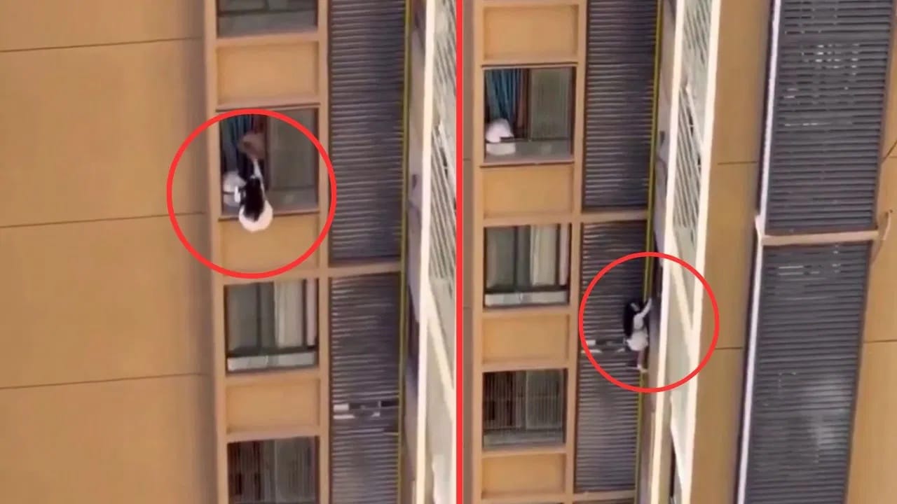 Shocking Video: ਪ੍ਰੇਮੀ ਦੀ ਪਤਨੀ ਨੂੰ ਦੇਖ ਕੇ 10ਵੀਂ ਮੰਜ਼ਿਲ ਤੋਂ ਲਟਕੀ ਪ੍ਰੇਮਿਕਾ! ਫਿਲਮੀ ਸਟਾਈਲ 'ਚ ਆਸ਼ਿਕ ਦੇ ਘਰ ਹੋਇਆ ਡਰਾਮਾ; ਦੇਖੋ ਵੀਡੀਓ