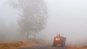 ਪੰਜਾਬ 'ਚ ਅੱਜ ਸੀਤ ਲਹਿਰ ਦਾ ਅਲਰਟ, ਜਾਣੋ ਕਿੰਨਾ ਰਿਹਾ ਘੱਟੋ-ਘੱਟ ਤਾਪਮਾਨ ਪੰਜਾਬ 'ਚ ਅੱਜ ਸੀਤ ਲਹਿਰ ਦਾ ਅਲਰਟ, ਜਾਣੋ ਕਿੰਨਾ ਰਿਹਾ ਘੱਟੋ-ਘੱਟ ਤਾਪਮਾਨ