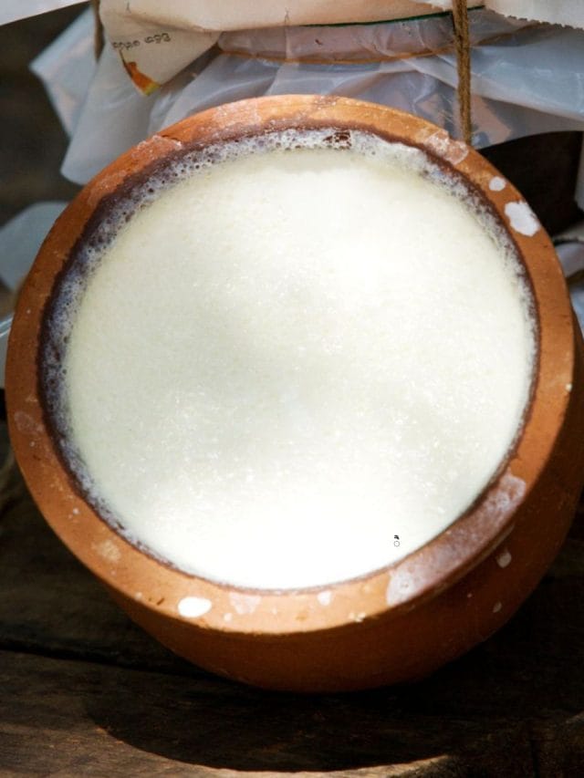 ਕੀ ਸਰਦੀਆਂ ‘ਚ ਦਹੀਂ ਖਾਣਾ ਚਾਹੀਦਾ? ਡਾਕਟਰ ਤੋਂ ਜਾਣੋ