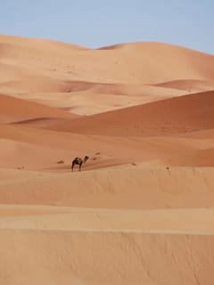 ਭਾਰਤ ਵਿੱਚ ਕਿੱਥੇ ਹੈ ਠੰਡਾ ਰੇਗਿਸਤਾਨ, ਜਿਸ ਦੇ ਦੀਵਾਨੇ ਹਨ ਨੌਜਵਾਨ...