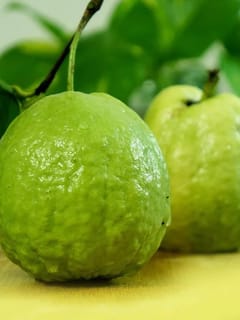 ਕਿਸ ਮੌਸਮ ਦਾ ਅਮਰੂਦ ਖਾਣਾ ਸਭ ਤੋਂ ਵੱਧ ਫਾਇਦੇਮੰਦ?...