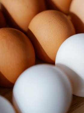 Brown ਜਾਂ White Egg... ਕਿਹੜਾ ਜ਼ਿਆਦਾ ਫਾਇਦੇਮੰਦ?