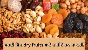 ਸਰਦੀਆਂ ਵਿੱਚ ਹਰ ਰੋਜ਼ ਸੁੱਕੇ ਮੇਵੇ ਖਾਣਾ ਕਿੰਨਾ ਸਹੀ ਹੈ? ਐਕਸਪਰਟ ਤੋਂ ਜਾਣੋ