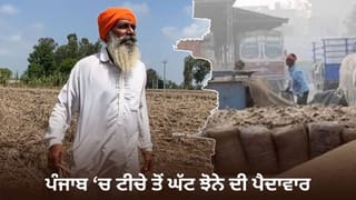 ਪੰਜਾਬ ‘ਚ ਝੋਨੇ ਦੀ ਫਸਲ ‘ਤੇ ਹੜ੍ਹ ਦੀ ਮਾਰ… ਟੀਚੇ ਤੋਂ 24 ਲੱਖ ਮੈਟ੍ਰਿਕ ਟਨ ਘੱਟ ਪੈਦਾਵਾਰ