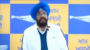 BJP ਸਿੱਖਾਂ ਨਾਲ ਕਰਦੀ ਹੈ ਨਫ਼ਰਤ, ਕਾਰਟੂਨ ਵਾਲੇ ਪੋਸਟਰ 'ਤੇ ਧਾਲੀਵਾਲ ਦਾ ਹਮਲਾ