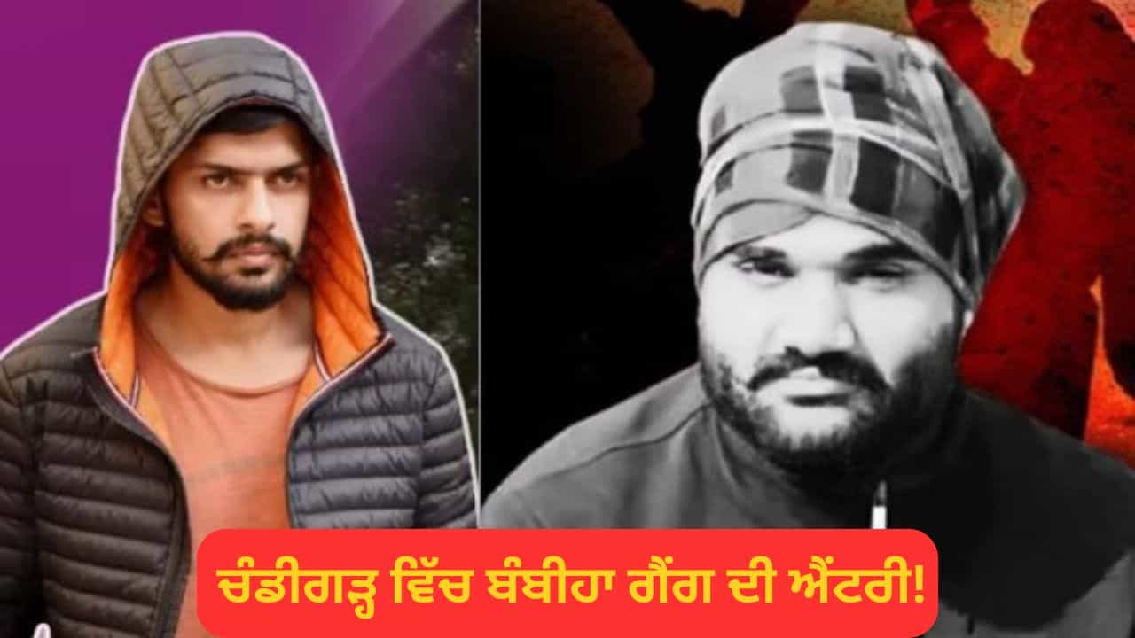 ਚੰਡੀਗੜ੍ਹ ਵਿੱਚ ਲਾਰੈਂਸ ਅਤੇ ਗੋਲਡੀ ਤੋਂ ਬਾਅਦ ਹੁਣ ਬੰਬੀਹਾ ਗੈਂਗ ਦੀ ਐਂਟਰੀ! ਮਿਲ ਰਹੀਆਂ ਫਿਰੌਤੀ ਦੀਆਂ ਧਮਕੀਆਂ; ਨਿਸ਼ਾਨੇ ਤੇ ਠੇਕੇਦਾਰ ਅਤੇ ਕਾਰੋਬਾਰੀ ਚੰਡੀਗੜ੍ਹ ਵਿੱਚ ਲਾਰੈਂਸ ਅਤੇ ਗੋਲਡੀ ਤੋਂ ਬਾਅਦ ਹੁਣ ਬੰਬੀਹਾ ਗੈਂਗ ਦੀ ਐਂਟਰੀ! ਮਿਲ ਰਹੀਆਂ ਫਿਰੌਤੀ ਦੀਆਂ ਧਮਕੀਆਂ; ਨਿਸ਼ਾਨੇ ਤੇ ਠੇਕੇਦਾਰ ਅਤੇ ਕਾਰੋਬਾਰੀ