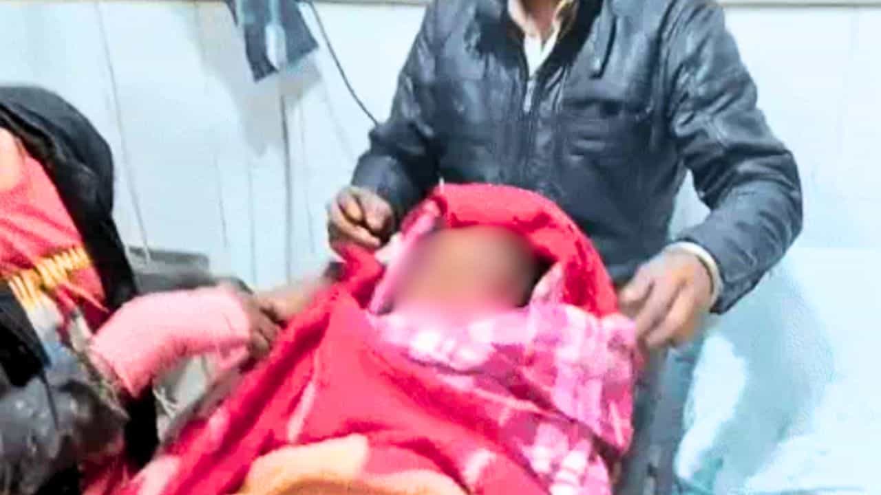 ਖੇਤਾਂ ਚ ਸ਼ੌਚ ਕਰਨ ਗਏ ਬੱਚੇ ਨੂੰ ਅਵਾਰਾ ਕੁੱਤਿਆਂ ਨੇ ਨੋਚਿਆ, ਅੱਖ ਹੋਈ ਡੈਮੇਜ; PGI ਚੰਡੀਗੜ੍ਹ ਕੀਤਾ ਗਿਆ ਰੈਫਰ ਖੇਤਾਂ ਚ ਸ਼ੌਚ ਕਰਨ ਗਏ ਬੱਚੇ ਨੂੰ ਅਵਾਰਾ ਕੁੱਤਿਆਂ ਨੇ ਨੋਚਿਆ, ਅੱਖ ਹੋਈ ਡੈਮੇਜ; PGI ਚੰਡੀਗੜ੍ਹ ਕੀਤਾ ਗਿਆ ਰੈਫਰ