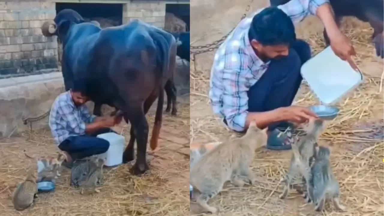 Viral Video: ਦਿਲ ਦਾ ਅਮੀਰ ਨਿਕਲਿਆ ਇਹ ਬੰਦਾ, ਵੀਡੀਓ ਦੇਖਦੇ ਹੀ ਲੋਕ ਕਰਨ ਲੱਗੇ ਤਾਰੀਫ Viral Video: ਦਿਲ ਦਾ ਅਮੀਰ ਨਿਕਲਿਆ ਇਹ ਬੰਦਾ, ਵੀਡੀਓ ਦੇਖਦੇ ਹੀ ਲੋਕ ਕਰਨ ਲੱਗੇ ਤਾਰੀਫ
