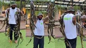 Video: ਸੱਪਾਂ ਨੂੰ ਖਿਡੌਣਾ ਸਮਝ ਕੇ ਉਨ੍ਹਾਂ ਨਾਲ ਖੇਡਣ ਲੱਗਿਆ ਬੰਦਾ, ਸਹਿਮੇ ਲੋਕ