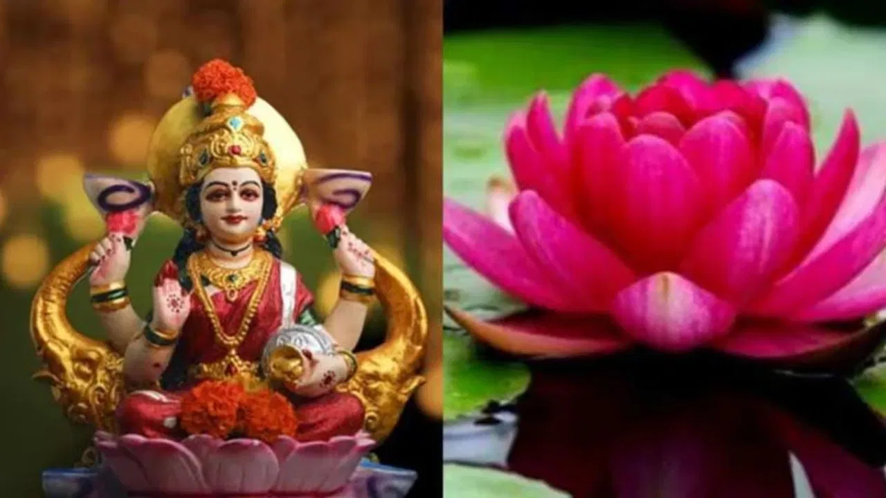 ਦੇਵੀ ਲਕਸ਼ਮੀ ਨੂੰ ਕਮਲ ਦਾ ਫੁੱਲ ਚੜ੍ਹਾਓ: ਸ਼ੁੱਕਰਵਾਰ ਨੂੰ ਦੇਵੀ ਲਕਸ਼ਮੀ ਦੀ ਪੂਜਾ ਕਰੋ ਅਤੇ ਉਨ੍ਹਾਂ ਨੂੰ ਕਮਲ ਦਾ ਫੁੱਲ ਚੜ੍ਹਾਓ। ਇਸ ਨਾਲ ਘਰ ਵਿੱਚ ਧਨ ਅਤੇ ਖੁਸ਼ਹਾਲੀ ਬਣੀ ਰਹੇਗੀ। ਸ਼ਾਮ ਨੂੰ ਤੁਲਸੀ ਦੇ ਪੌਦੇ ਦੇ ਸਾਹਮਣੇ ਘਿਓ ਦਾ ਦੀਵਾ ਜਗਾਓ। ਇਸ ਨਾਲ ਨਾ ਸਿਰਫ਼ ਤੁਹਾਡੇ ਘਰ ਵਿੱਚੋਂ ਵਾਸਤੂ ਦੋਸ਼ ਦੂਰ ਹੋਣਗੇ, ਸਗੋਂ ਦੇਵੀ ਲਕਸ਼ਮੀ ਵੀ ਖੁਸ਼ ਹੋਵੇਗੀ ਅਤੇ ਆਸ਼ੀਰਵਾਦ ਦੇਵੇਗੀ।