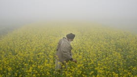 ਪੰਜਾਬ: ਅੱਜ ਵੀ ਧੁੰਦ ਤੋਂ ਰਾਹਤ ਨਹੀਂ, ਅਲਰਟ ਜਾਰੀ; ਘੱਟੋ-ਘੱਟ ਤਾਪਮਾਨ 2.4 ਡਿਗਰੀ