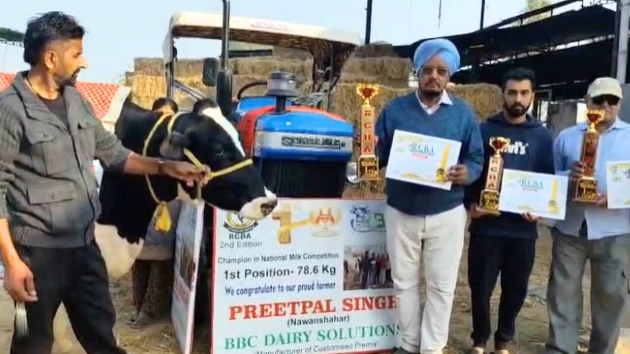 78 ਕਿਲੋਗ੍ਰਾਮ ਦੁੱਧ ਪੈਦਾ ਕਰਨ ਵਾਲੀ ਪੰਜਾਬ ਦੀ ਇੱਕ ਗਾਂ ਨੇ ਖਿਤਾਬ ਜਿੱਤਿਆ... ਦੁੱਧ ਚੋਣ ਚੈਂਪੀਅਨਸ਼ਿਪ