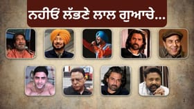 ਉਹ ਪੰਜਾਬੀ ਕਲਾਕਾਰ ਜੋ 2025 'ਚ ਕਹਿ ਗਏ ਅਲਵਿਦਾ, ਯਾਦਾਂ 'ਚ ਹਮੇਸ਼ਾ ਰਹਿਣਗੇ ਜਿੰਦਾ