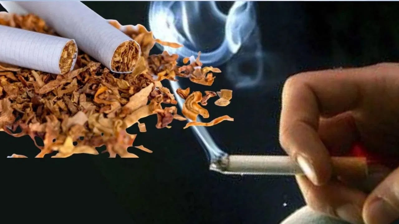 ਸਿਗਰਟ ਤੇ ਤੰਬਾਕੂ ਹੁਣ ਹੋਰ ਹੋਣਗੇ ਮਹਿੰਗੇ, ਬਿੱਲ ਲੋਕ ਸਭਾ 'ਚ ਪਾਸ ਹੋਇਆ... ਜਾਣੋ ਡਿਟੇਲ