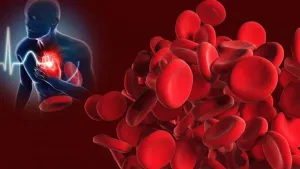 ਸਰਦੀਆਂ ਵਿੱਚ ਨਸਾਂ 'ਚ ਜੰਮ ਜਾਂਦਾ ਹੈ ਖੂਨ? ਵਧ ਸਕਦਾ ਹੈ ਹਾਰਟ ਅਟੈਕ ਖ਼ਤਰਾ?