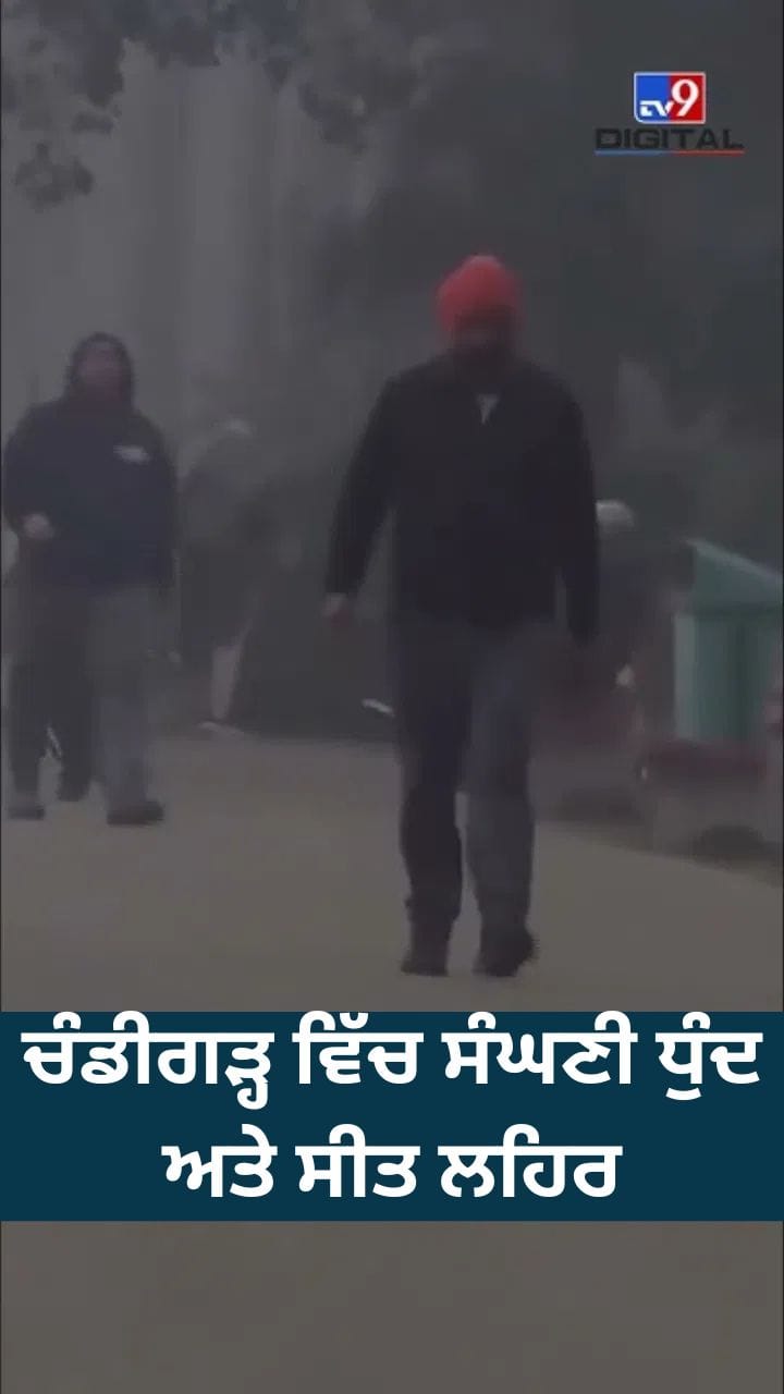 ਚੰਡੀਗੜ੍ਹ ਵਿੱਚ ਸੰਘਣੀ ਧੁੰਦ ਅਤੇ ਸੀਤ ਲਹਿਰ, ਜਾਣੋ ਮੌਸਮ ਦਾ ਹਾਲ