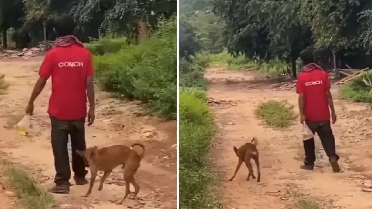 Viral Video: ਸ਼ਰਾਬੀ ਸ਼ਖਸ ਨੂੰ ਦੇਖ ਕੇ ਕੁੱਤੇ ਨੇ ਕੀਤਾ ਗਜਬ ਦਾ ਨਾਟਕ, ਵੀਡੀਓ ਵੇਖ ਕੇ ਨਹੀਂ ਰੁੱਕੇਗਾ ਹਾਸਾ