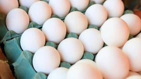 ਆਂਡਾ ਖਰਾਬ ਤਾਂ ਨਹੀਂ ਹੈ? ਇਹਨਾਂ ਸੌਖੇ ਤਰੀਕਿਆਂ ਨਾਲ ਪਛਾਣੋ…. ਖਾਣ ਲਾਇਕ ਹੈ ਜਾਂ ਨਹੀਂ...