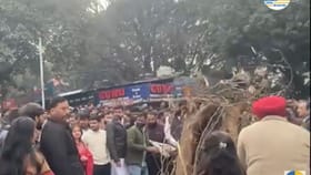 Lohri Celebration : ਪੰਜਾਬ ਯੂਨੀਵਰਸਿਟੀ ਵਿੱਚ ਧੂੰਮਧਾਮ ਨਾਲ ਮਨਾਇਆ ਗਿਆ ਲੋਹੜੀ ਦਾ ਤਿਊਹਾਰ