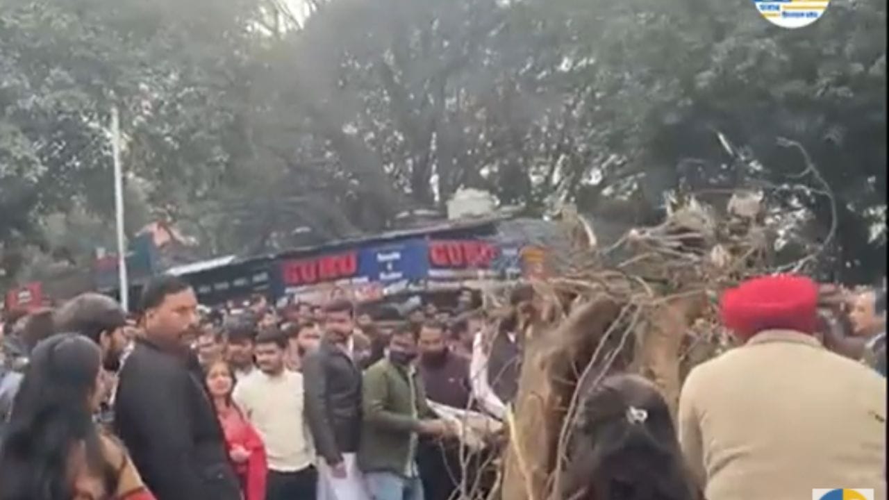 Lohri Celebration : ਪੰਜਾਬ ਯੂਨੀਵਰਸਿਟੀ ਵਿੱਚ ਧੂੰਮਧਾਮ ਨਾਲ ਮਨਾਇਆ ਗਿਆ ਲੋਹੜੀ ਦਾ ਤਿਊਹਾਰ