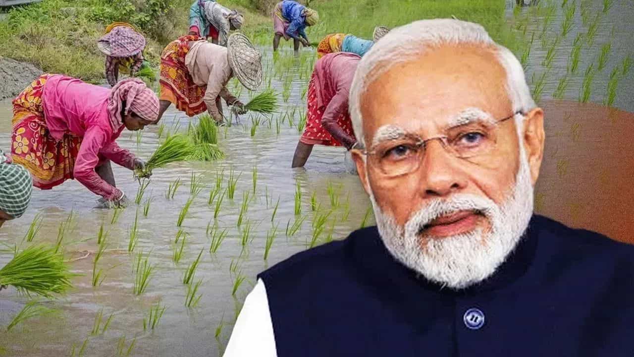 PM Kisan: ਕਿਸਾਨਾਂ ਦੀ ਉਡੀਕ ਖਤਮ! ਇਸ ਦਿਨ ਖਾਤਿਆਂ ਵਿੱਚ ਉਣਗੇ 2000 ਰੁਪਏ, ਮਿਲ ਸਕਦੀ ਹੈ ਦੁੱਗਣੀ ਖੁਸ਼ਖਬਰੀ