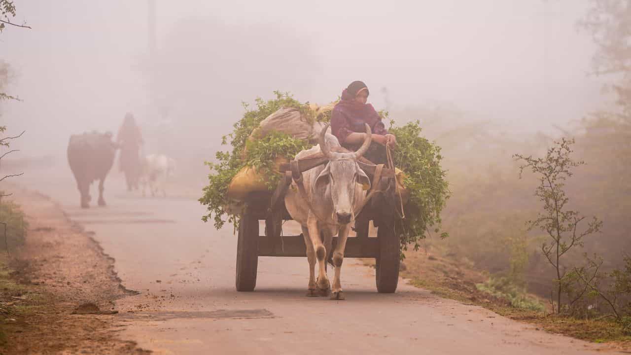 ਪੰਜਾਬ-ਚੰਡੀਗੜ੍ਹ ਚ ਧੁੰਦ ਤੇ ਸੀਤ ਲਹਿਰ ਦਾ ਅਲਰਟ, 4 ਦਿਨਾਂ ਵਿੱਚ ਤਾਪਮਾਨ 3 ਡਿਗਰੀ ਘੱਟਿਆ ਪੰਜਾਬ-ਚੰਡੀਗੜ੍ਹ ਚ ਧੁੰਦ ਤੇ ਸੀਤ ਲਹਿਰ ਦਾ ਅਲਰਟ, 4 ਦਿਨਾਂ ਵਿੱਚ ਤਾਪਮਾਨ 3 ਡਿਗਰੀ ਘੱਟਿਆ