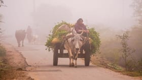 ਪੰਜਾਬ-ਚੰਡੀਗੜ੍ਹ ‘ਚ ਧੁੰਦ ਤੇ ਸੀਤ ਲਹਿਰ ਦਾ ਅਲਰਟ, 4 ਦਿਨਾਂ ਵਿੱਚ ਤਾਪਮਾਨ 3 ਡਿਗਰੀ ਘੱਟਿਆ...