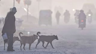 ਪੰਜਾਬ ‘ਚ ਅੱਜ ਠੰਢ ਤੋਂ ਥੋੜ੍ਹੀ ਰਾਹਤ, ਸਿਰਫ਼ 6 ਜ਼ਿਲ੍ਹਿਆਂ ‘ਚ ਧੁੰਦ ਦਾ ਅਲਰਟ