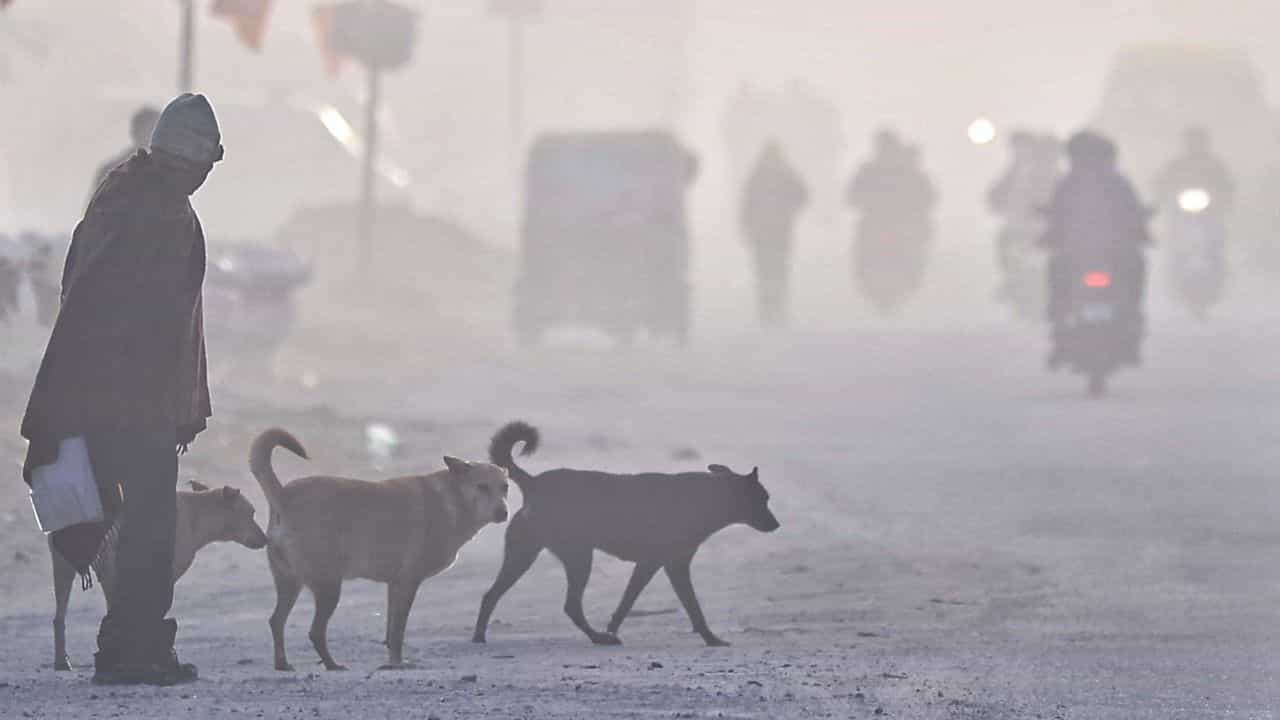 ਪੰਜਾਬ ਚ ਦੋ ਦਿਨ ਸੰਘਣੇ ਕੋਹਰੇ ਤੇ ਸ਼ੀਤ ਲਹਿਰ ਲਈ ਯੈਲੋ ਅਲਰਟ, 10 ਜ਼ਿਲ੍ਹਿਆਂ ਵਿੱਚ ਠੰਡ ਬਰਸਾਏਗੀ ਕਹਿਰ