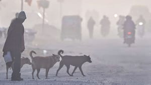 ਪੰਜਾਬ 'ਚ ਦੋ ਦਿਨ ਸੰਘਣੇ ਕੋਹਰੇ ਤੇ ਸ਼ੀਤ ਲਹਿਰ ਲਈ ਅਲਰਟ, ਜਾਣੋ ਮੌਸਮ ਦਾ ਹਾਲ ਪੰਜਾਬ 'ਚ ਦੋ ਦਿਨ ਸੰਘਣੇ ਕੋਹਰੇ ਤੇ ਸ਼ੀਤ ਲਹਿਰ ਲਈ ਅਲਰਟ, ਜਾਣੋ ਮੌਸਮ ਦਾ ਹਾਲ