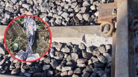 ਸਰਹਿੰਦ ਰੇਲਵੇ ਸਟੇਸ਼ਨ ‘ਤੇ ਧਮਾਕਾ, ਮਾਲ ਗੱਡੀ ਦਾ ਇੰਜਣ ਨੁਕਸਾਨਿਆ, ਡਰਾਈਵਰ ਜ਼ਖ਼ਮੀ; RDX ਹਮਲੇ ਦਾ ਸ਼ੱਕ...