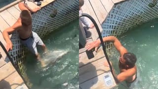 Viral Video: ਮੋਬਾਈਲ ਦੇ ਚੱਕਰ ‘ਚ ਸ਼ਾਰਕ ਨਾਲ ਭਰੇ ਪਾਣੀ ਵਿੱਚ ਸ਼ਖਸ ਨੇ ਮਾਰੀ ਛਾਲ, ਦੇਖੋ ਫਿਰ ਕੀ ਹੋਇਆ