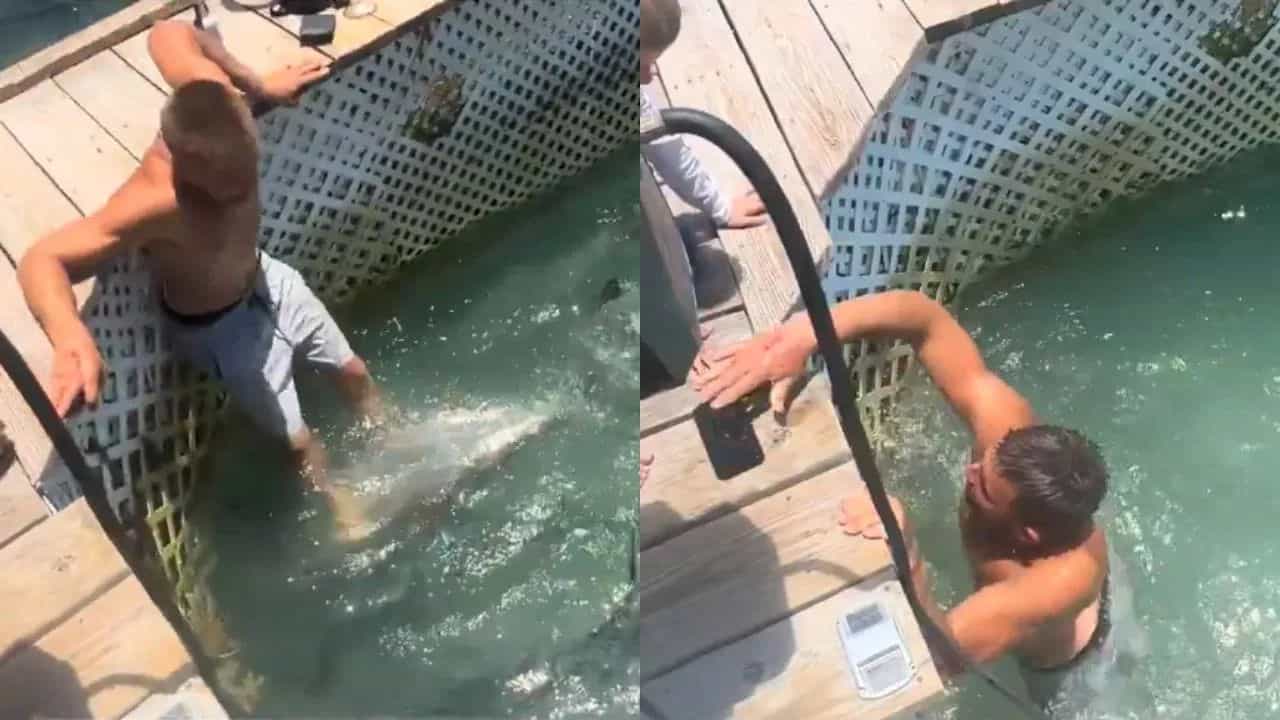 Viral Video: ਮੋਬਾਈਲ ਦੇ ਚੱਕਰ ਚ ਸ਼ਾਰਕ ਨਾਲ ਭਰੇ ਪਾਣੀ ਵਿੱਚ ਸ਼ਖਸ ਨੇ ਮਾਰੀ ਛਾਲ, ਦੇਖੋ ਫਿਰ ਕੀ ਹੋਇਆ