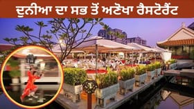 Video: ਗਜਬ ਦਾ ਰੈਸਟੋਰੈਂਟ...ਹਵਾ ਵਿੱਚ ਉੱਡ ਕੇ ਖਾਣਾ ਪਰੋਸਣ ਆਉਂਦੇ ਹਨ ਵੇਟਰ