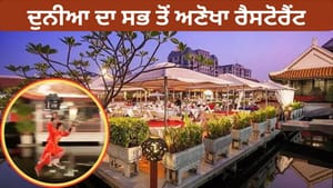 Video: ਗਜਬ ਦਾ ਰੈਸਟੋਰੈਂਟ...ਹਵਾ ਵਿੱਚ ਉੱਡ ਕੇ ਖਾਣਾ ਪਰੋਸਣ ਆਉਂਦੇ ਹਨ ਵੇਟਰ