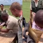 Shocking Video: ਬੰਦੇ ਨੇ ਐਨਾਕਾਂਡਾ ਦੇ ਮੂੰਹ ਵਿੱਚ ਪਾਇਆ ਸਿਰ, ਫੇਰ ਜੋ ਹੋਇਆ…ਦੇਖ ਕੇ ਕੰਬ ਜਾਵੇਗੀ ਰੂਹ!