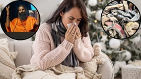 ਸਰਦੀਆਂ ‘ਚ ਜ਼ਰੂਰ ਖਾਓ ਕਾਕੜਾ ਸਿੰਘੀ, ਬਾਬਾ ਰਾਮਦੇਵ ਨੇ ਦੱਸੇ ਸ਼ਾਨਦਾਰ ਫਾਇਦੇ...