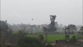 ਆਈ ਬਸੰਤ ਲਿਆਈ ਠੰਡ! ਪੰਜਾਬ 'ਚ ਮੌਸਮ ਨੇ ਲਈ ਕਰਵਟ, ਪਤੰਗਬਾਜ਼ੀ ਦਾ ਮਜ਼ਾ ਕਿਰਕਿਰਾ