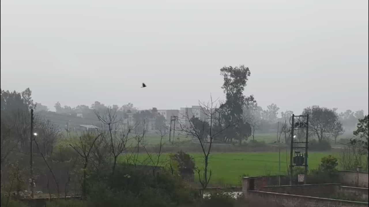 ਆਈ ਬਸੰਤ ਲਿਆਈ ਠੰਡ! ਪੰਜਾਬ ਚ ਮੌਸਮ ਨੇ ਲਈ ਕਰਵਟ, ਪਤੰਗਬਾਜ਼ੀ ਦਾ ਮਜ਼ਾ ਕਿਰਕਿਰਾ