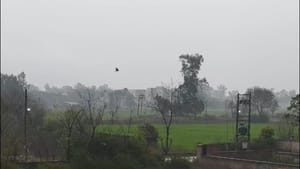 ਆਈ ਬਸੰਤ ਲਿਆਈ ਠੰਡ! ਪੰਜਾਬ 'ਚ ਮੌਸਮ ਨੇ ਲਈ ਕਰਵਟ, ਪਤੰਗਬਾਜ਼ੀ ਦਾ ਮਜ਼ਾ ਕਿਰਕਿਰਾ ਆਈ ਬਸੰਤ ਲਿਆਈ ਠੰਡ! ਪੰਜਾਬ 'ਚ ਮੌਸਮ ਨੇ ਲਈ ਕਰਵਟ, ਪਤੰਗਬਾਜ਼ੀ ਦਾ ਮਜ਼ਾ ਕਿਰਕਿਰਾ