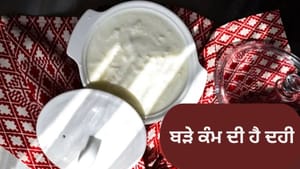 ਦਹੀਂ ਖਾਣ ਲਈ ਹੀ ਨਹੀਂ, ਭਾਂਡਿਆਂ ਤੋਂ ਲੈ ਕੇ ਚਿਹਰਾ ਚਮਕਾਉਣ ਤੱਕ ਆਉਂਦਾ ਹੈ ਕੰਮ