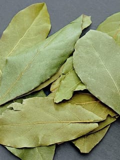 ਘਰੇਲੂ ਕੰਮਾਂ ਤੋਂ ਲੈ ਕੇ ਸਕਿਨ ਦੀ ਦੇਖਭਾਲ ਤੱਕ, ਤੇਜ਼ ਪੱਤੇ ਦੀ ਕਰੋ ਵਰਤੋ...