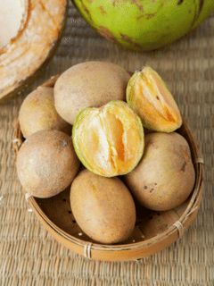 ਸਰਦੀਆਂ ਵਿੱਚ ਚੀਕੂ ਦੇ ਗੁਣ, ਪੌਸ਼ਟਿਕ ਤੱਤ ਅਤੇ ਸਿਹਤ ਲਾਭ...