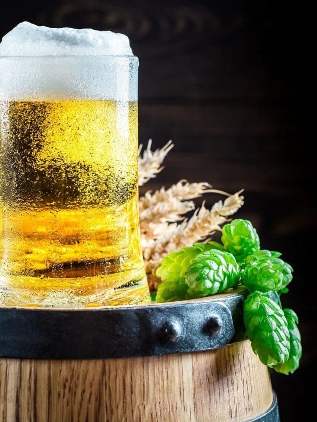 ਇੱਥੇ ਪਾਣੀ ਨਾਲੋਂ ਵੀ ਸਸਤੀ ਹੈ ਬੀਅਰ, ਇਹ ਦੇਸ਼ ਇਸ ਨੂੰ ਪੀਣ ਵਿੱਚ ਹੈ ਨੰਬਰ ਵਨ