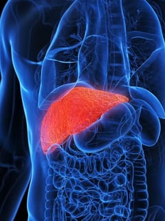 ਸਰਦੀਆਂ ‘ਚ ਲੀਵਰ ਸਿਹਤਮੰਦ ਰੱਖਣ ਲਈ ਖਾਓ ਇਹ ਚੀਜ਼ਾਂ...