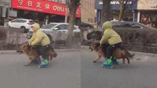 Viral Video: ਗਜਬ ਦੀ ਸਵਾਰੀ… ਕੁੱਤੇ ਨੂੰ ਘੋੜੇ ਵਾਂਗ ਭਜਾਉਂਦਾ ਦਿਖਿਆ ਬੱਚਾ, ਵਾਇਰਲ ਵੀਡੀਓ ਦੇਖ ਕੇ ਹੈਰਾਨ ਲੋਕ