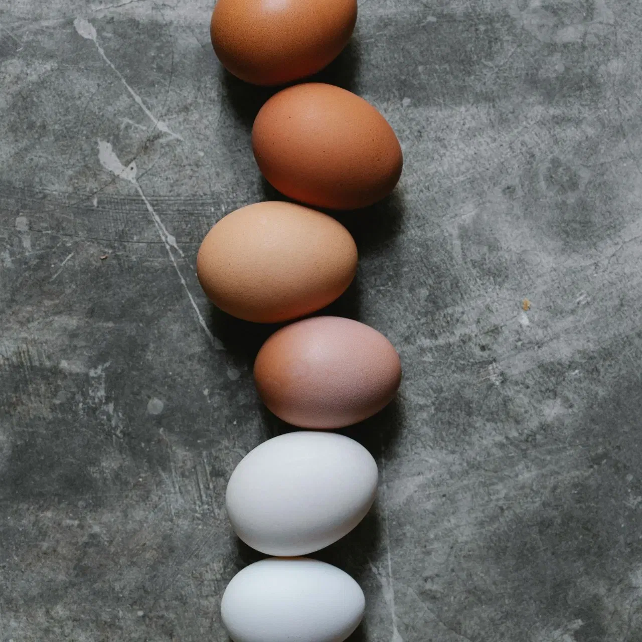 ਜੇਕਰ ਤੁਸੀਂ ਬਾਜ਼ਾਰ ਤੋਂ ਆਂਡਾ ਖਰੀਦਿਆ ਹੈ, ਤਾਂ ਇਹ ਪਛਾਣ ਕਰਨਾ ਜਰੂਰੀ ਹੈ ਕਿ ਇਹ ਖਾਣ ਯੋਗ ਹੈ ਜਾਂ ਨਹੀਂ। ਇਸ ਨਾਲ ਸਿਹਤ ਸਮੱਸਿਆਵਾਂ ਵੀ ਹੋ ਸਕਦੀਆਂ ਹਨ। ਆਂਡੇ ਦੇ ਰੰਗ ਅਤੇ ਗੰਧ ਤੋਂ ਇਲਾਵਾ, ਹੋਰ ਵੀ ਬਹੁਤ ਸਾਰੇ ਤਰੀਕੇ ਹਨ ਜਿਸ ਨਾਲ ਤੁਸੀਂ ਪਛਾਣ ਸਕਦੇ ਹੋ ਕਿ ਜੋ ਆਂਡਾ ਖਾ ਰਹੇ ਹੋ ਉਹ ਨੁਕਸਾਨਦੇਹ ਹੋਵੇਗਾ ਜਾਂ ਨਹੀਂ। ਜਾਣੋ...