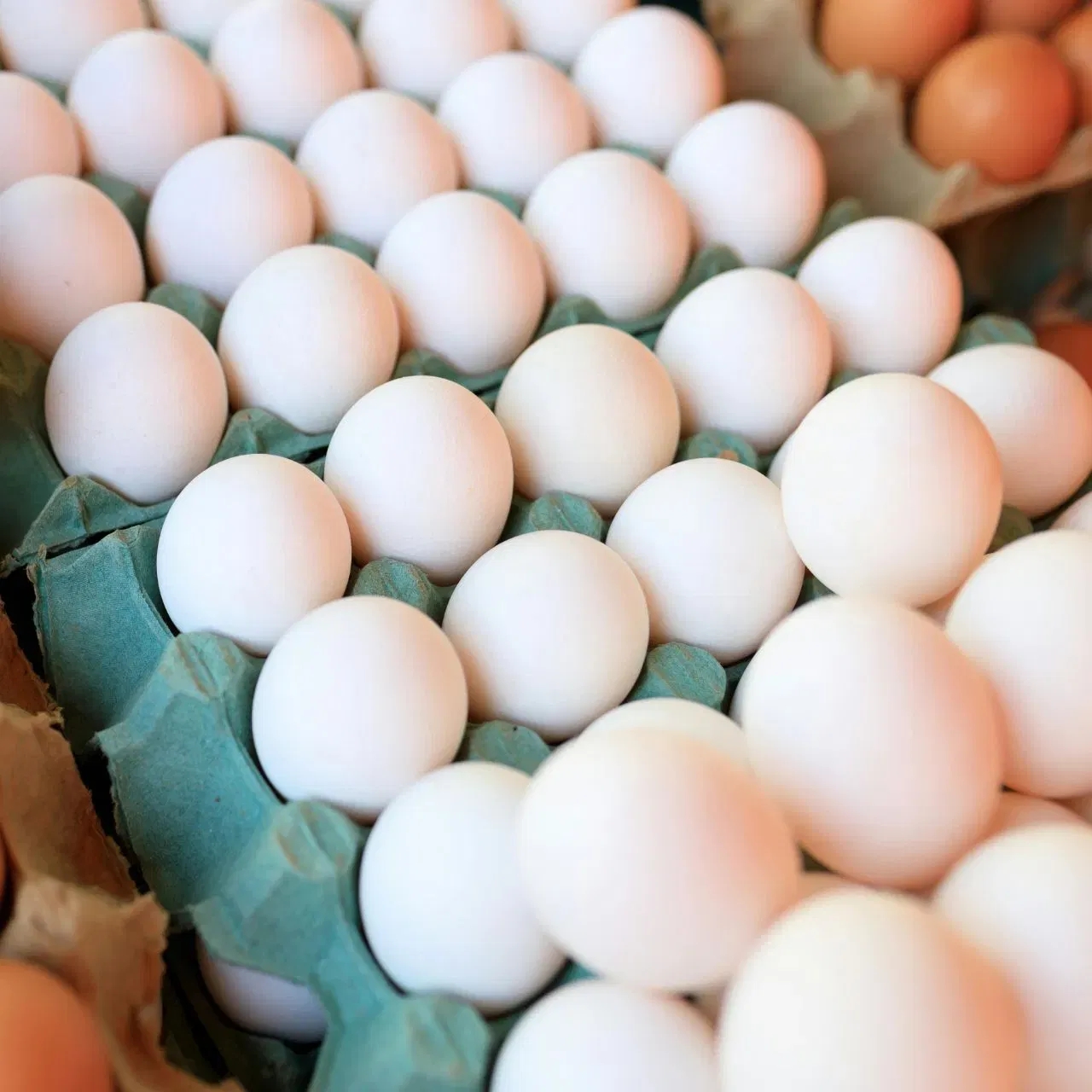 ਭਾਰਤ ਵਿੱਚ, ਅੱਜ ਵੀ ਇਹ ਕਿਹਾ ਜਾਂਦਾ ਹੈ ਕਿ ਸੰਡੇ ਹੋ ਜਾਂ ਮੰਡੇ, ਰੋਜ ਖਾਓ ਅੰਡੇ। ਆਂਡੇ ਪ੍ਰੋਟੀਨ ਅਤੇ ਹੋਰ ਬਹੁਤ ਸਾਰੇ ਪੌਸ਼ਟਿਕ ਤੱਤਾਂ ਦਾ ਵਧੀਆ ਸਰੋਤ ਹੁੰਦੇ ਹਨ। ਇਨ੍ਹਾਂ ਵਿੱਚ ਵਿਟਾਮਿਨ ਈ, ਬੀ12, ਡੀ, ਏ, ਅਤੇ ਕੇ ਹੁੰਦੇ ਹਨ। ਇਹ ਸੇਲੇਨੀਅਮ, ਫਾਸਫੋਰਸ, ਜ਼ਿੰਕ ਅਤੇ ਆਇਰਨ ਵਰਗੇ ਹੋਰ ਪੌਸ਼ਟਿਕ ਤੱਤਾਂ ਨਾਲ ਵੀ ਭਰਪੂਰ ਹੁੰਦੇ ਹਨ। ਹਾਲਾਂਕਿ, ਲੋਕ ਇਨ੍ਹਾਂ ਨੂੰ ਖਾਂਦੇ ਸਮੇਂ ਕੁਝ ਗਲਤੀਆਂ ਕਰਦੇ ਹਨ।