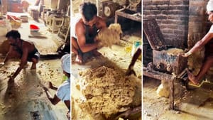 Video:ਇੰਝ ਬਣਦੀ ਹੈ ਫੇਮਸ ਅੰਮ੍ਰਿਤਸਰੀ ਵੜੀ, ਦੇਖ ਲਿਆ ਤਰੀਕਾ ਤਾਂ ਕਰ ਲਵੋਗੇ ਤੌਬਾ